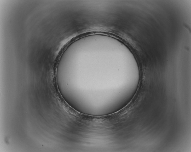 X0000099321264200805161352