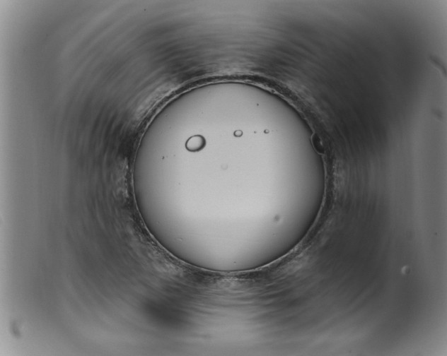 X0000099321265200805161352