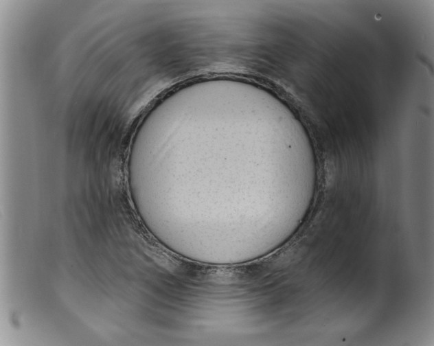 X0000099321266200805161352