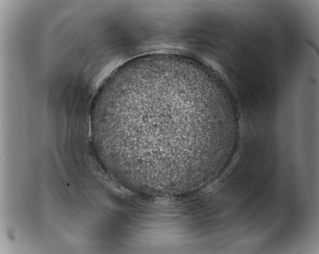 X0000099321267200805161352