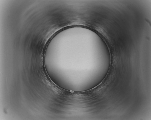 X0000099321268200805161352