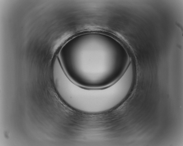 X0000099321269200805161352