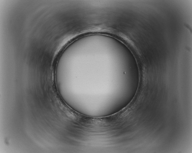 X0000099321270200805161352