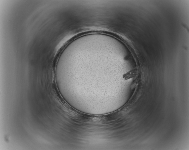 X0000099321271200805161352