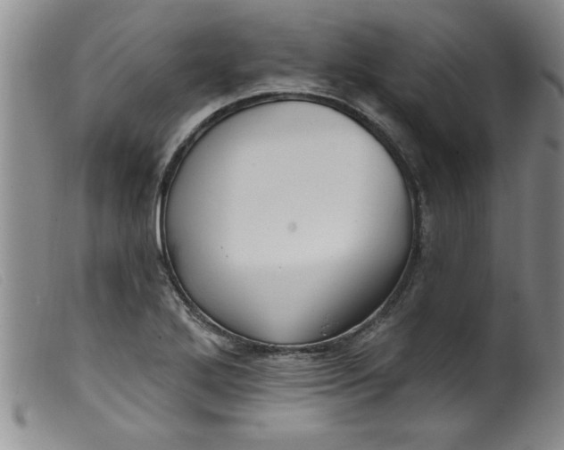 X0000099321272200805161352