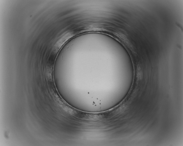 X0000099321273200805161352