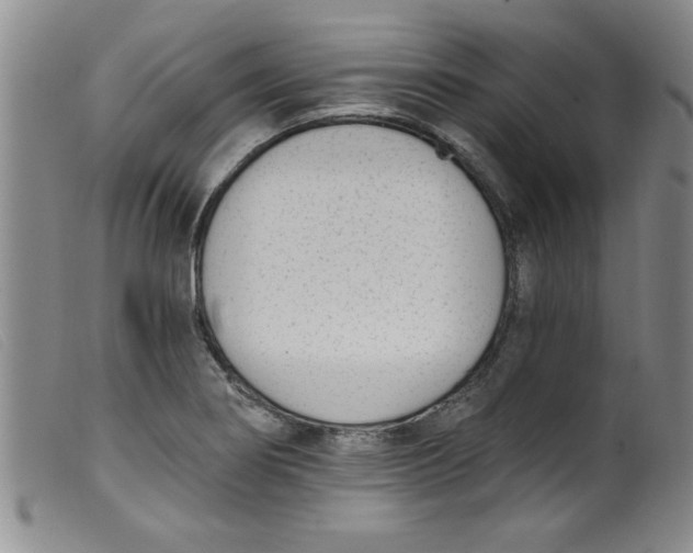 X0000099321274200805161352