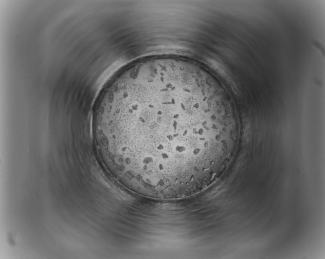 X0000099321275200805161352