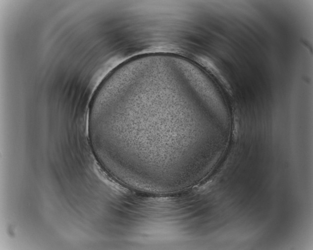 X0000099321276200805161352