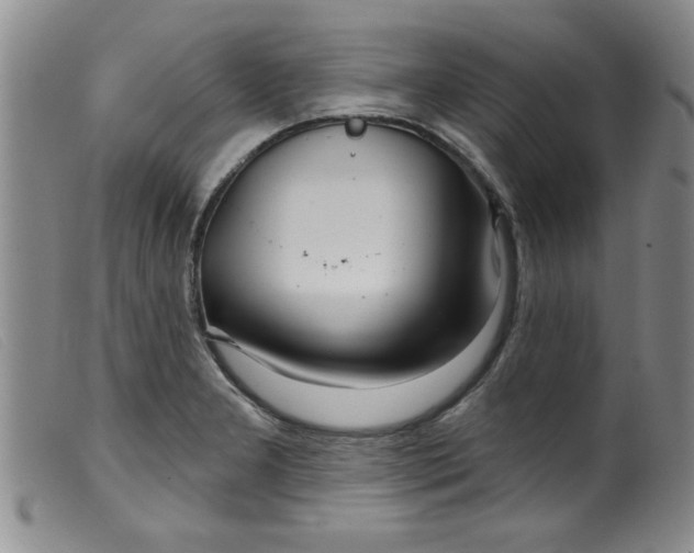 X0000099321277200805161352