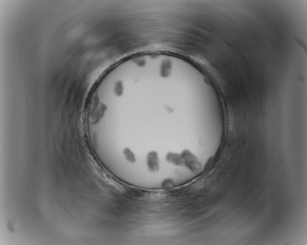 X0000099321278200805161352