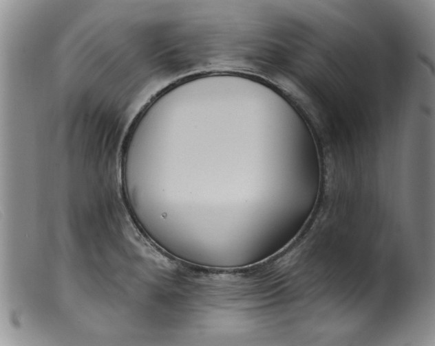 X0000099321280200805161352