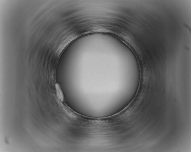 X0000099321281200805161352