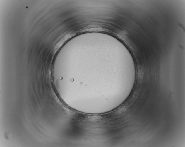 X0000099321282200805161352