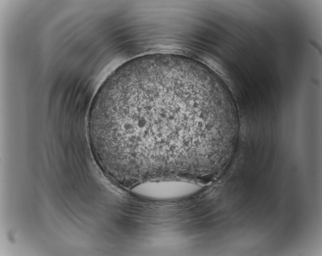 X0000099321283200805161352