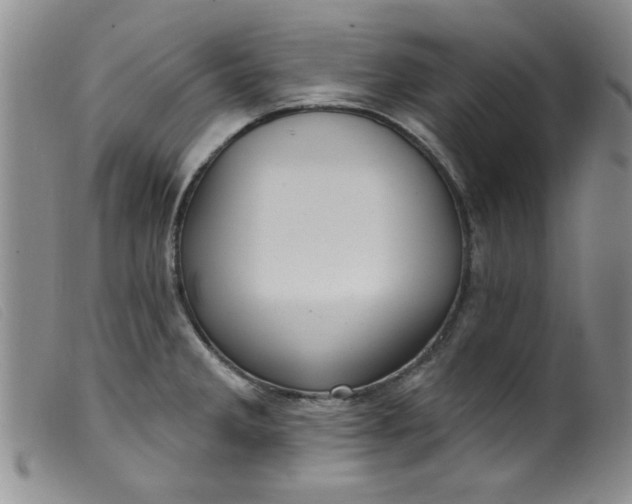 X0000099321285200805161352