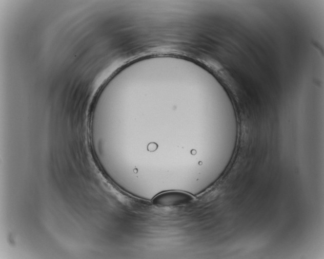 X0000099321286200805161352