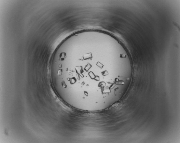 X0000099321287200805161352