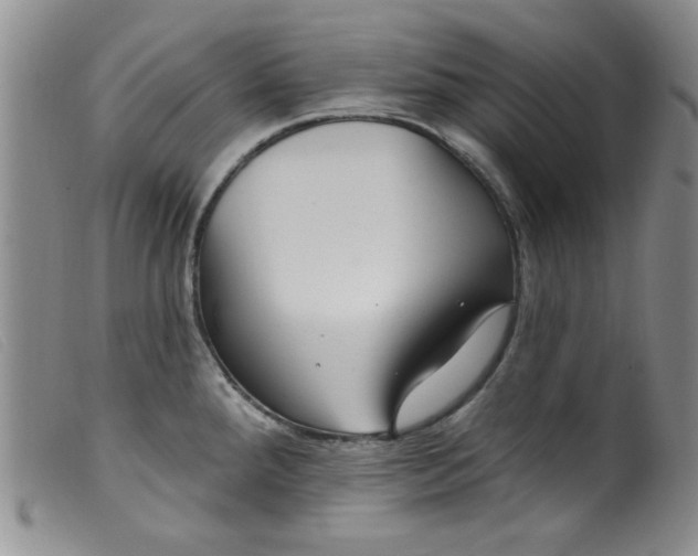 X0000099321288200805161352