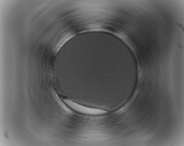 X0000099321289200805161352