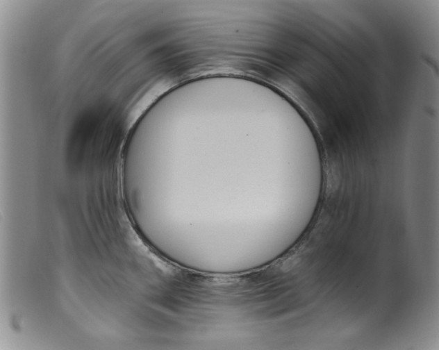 X0000099321290200805161352