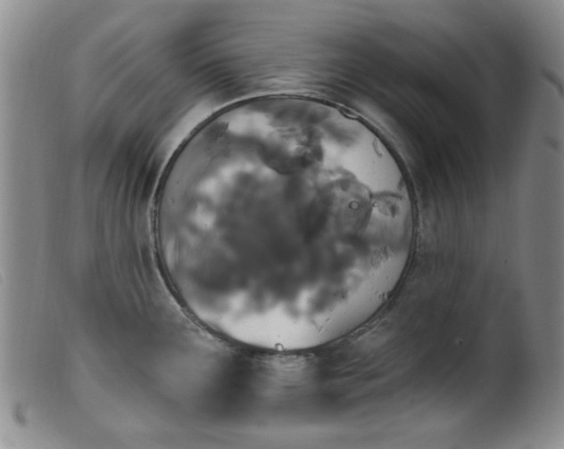 X0000099321291200805161352