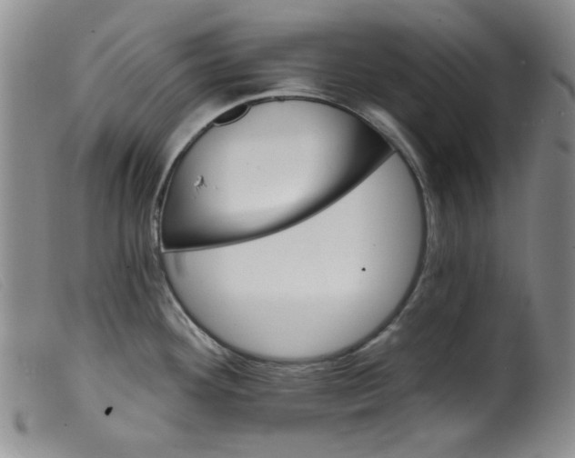 X0000099321292200805161352