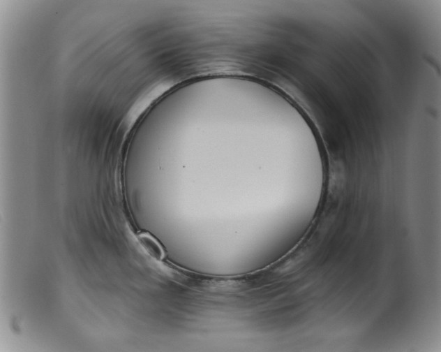 X0000099321293200805161352