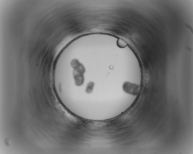 X0000099321294200805161352