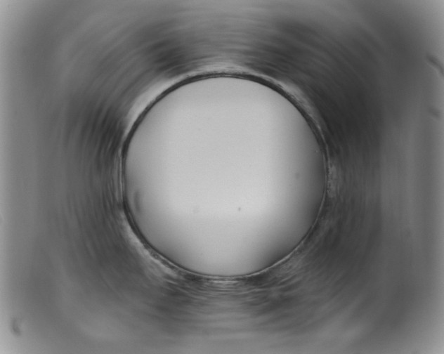 X0000099321295200805161352