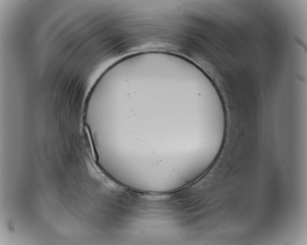 X0000099321296200805161352