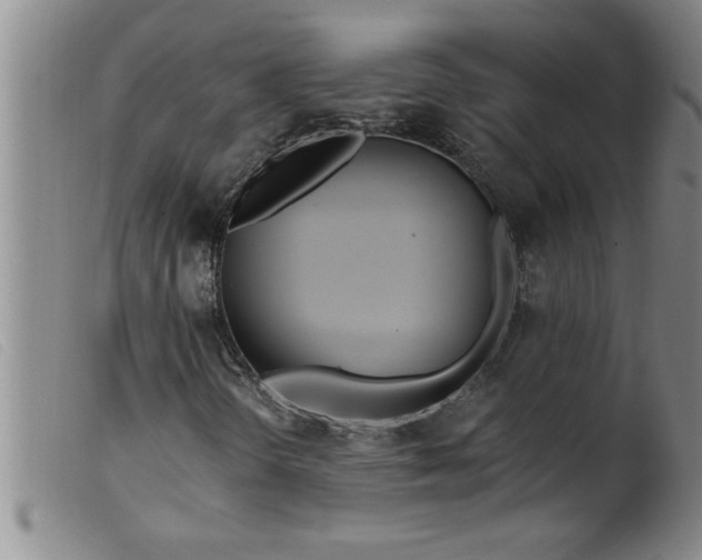 X0000099321298200805161351