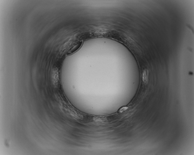 X0000099321299200805161351