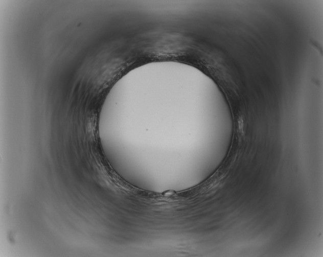 X0000099321300200805161351