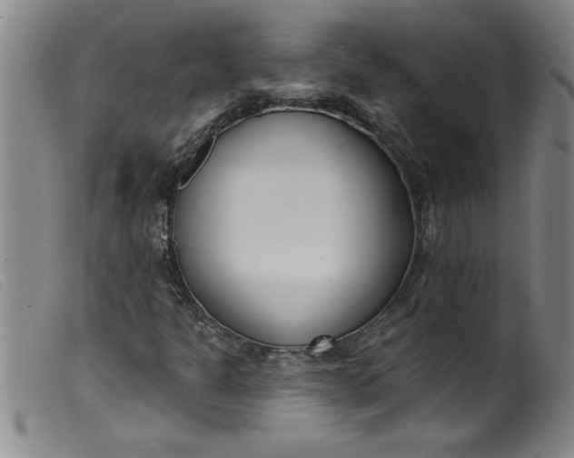 X0000099321301200805161351