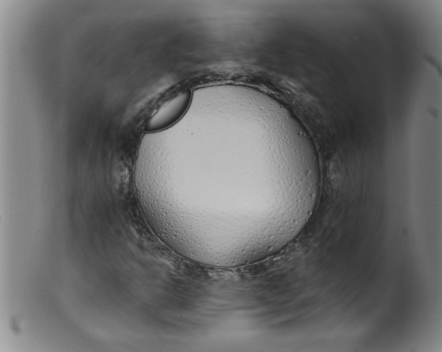 X0000099321302200805161351