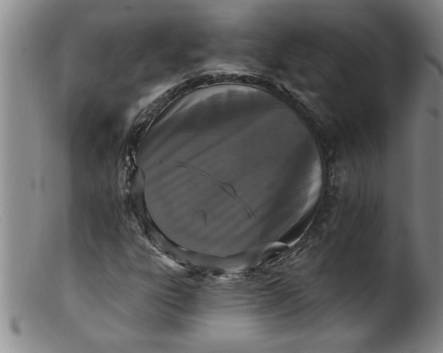 X0000099321303200805161351