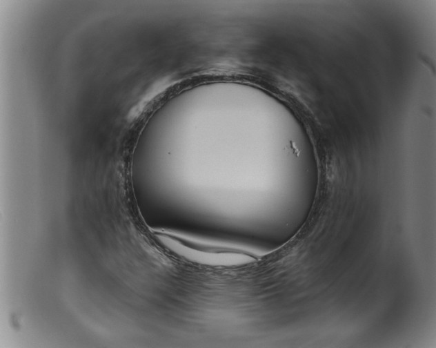 X0000099321304200805161351