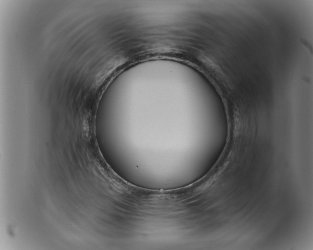 X0000099321305200805161351