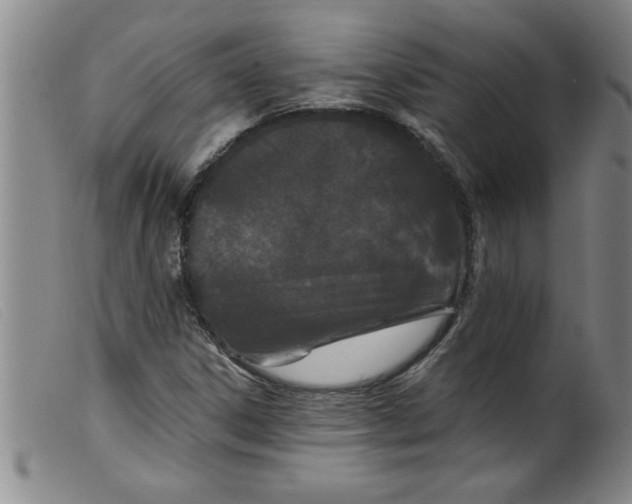 X0000099321306200805161351