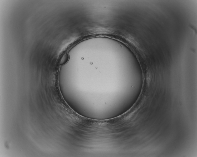 X0000099321309200805161351