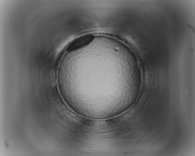 X0000099321310200805161351