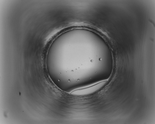 X0000099321311200805161351