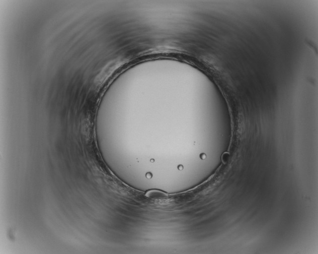 X0000099321313200805161351