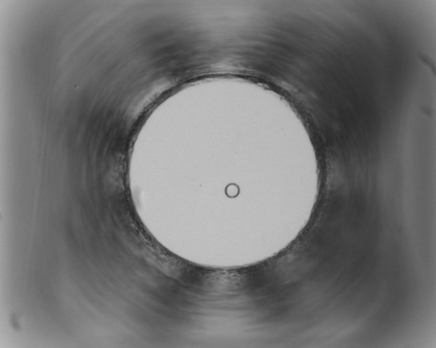 X0000099321314200805161351