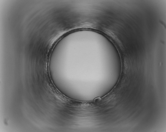 X0000099321316200805161351