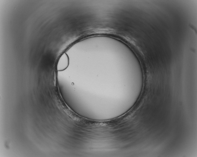 X0000099321317200805161351