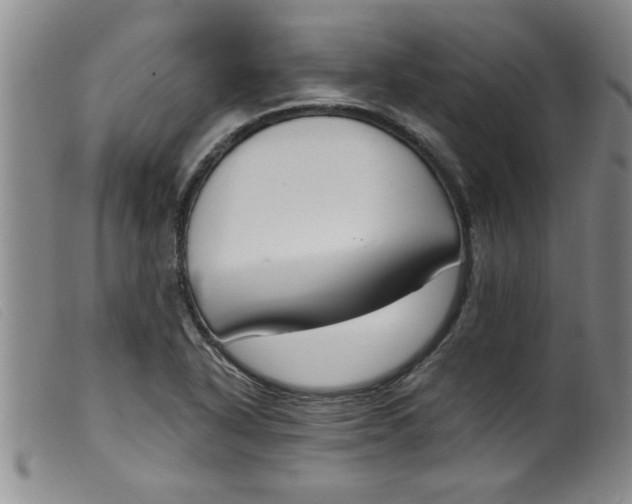 X0000099321318200805161351