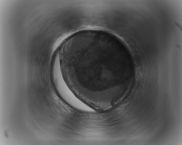 X0000099321319200805161351