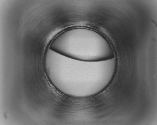 X0000099321320200805161351